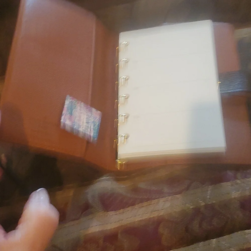 Louis vuitton HP 4 items   pm agenda passport  gorgeous dust cover box